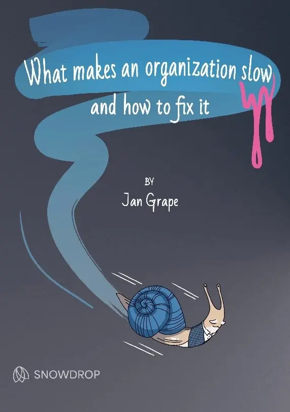 What makes an organization slow and how to fix it