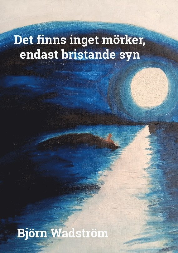 Björn Wadström - Det finns inget mörker, endast bristande syn : en ny förståelse och förklaring av medvetandet, Inbunden