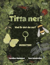 bokomslag Titta ner!