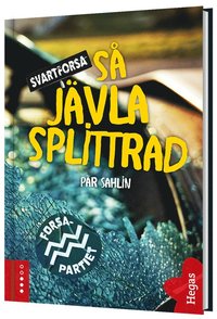 bokomslag Så jävla splittrad