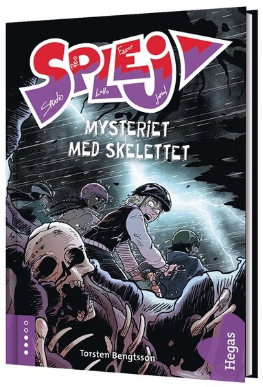 bokomslag Mysteriet med skelettet