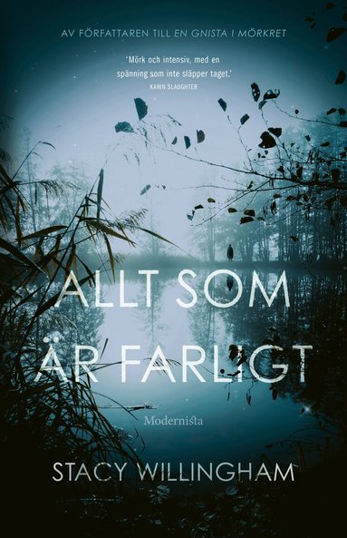 Stacy Willingham - Allt som är farligt, Inbunden
