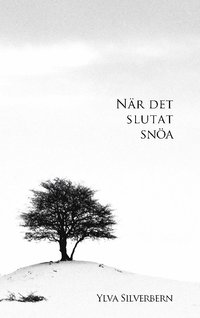 bokomslag När det slutat snöa