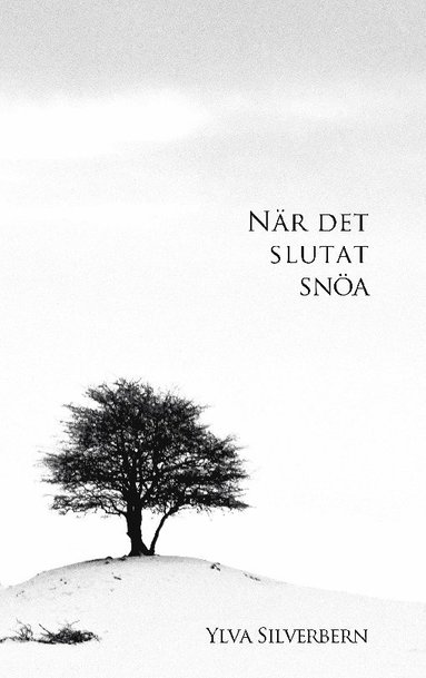 bokomslag När det slutat snöa