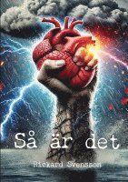 bokomslag Så är det