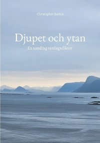 bokomslag Djupet och ytan: En samling vardagsdikter