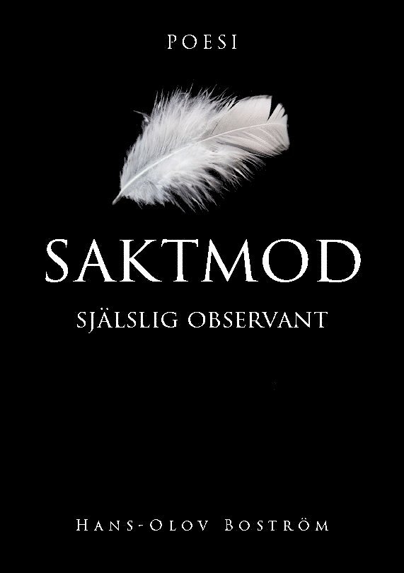 Hans-Olov Boström - Saktmod: Själslig observant, Häftad