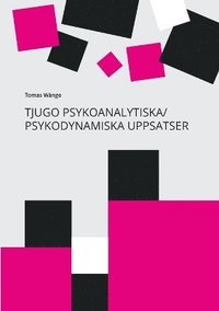 bokomslag Tjugo Psykoanalytiska/Psykodynamiska Uppsatser : En 40-årig personlig yrkes