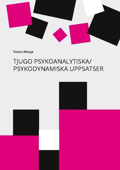 bokomslag Tjugo psykoanalytiska / psykodynamiska uppsatser : en 40-årig personlig yrkesresa från Freud till relationell psykoanalys / psykoterapi