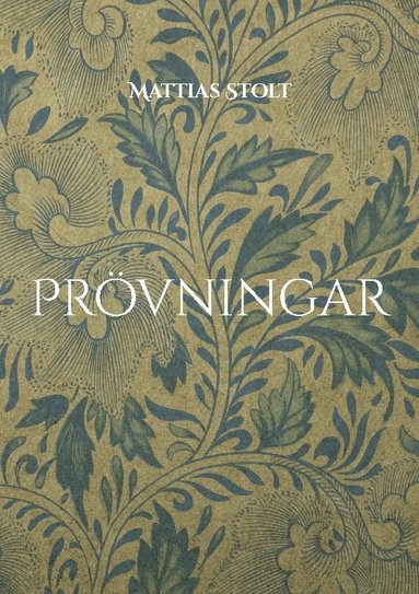 Mattias Stolt - Prövningar, Häftad