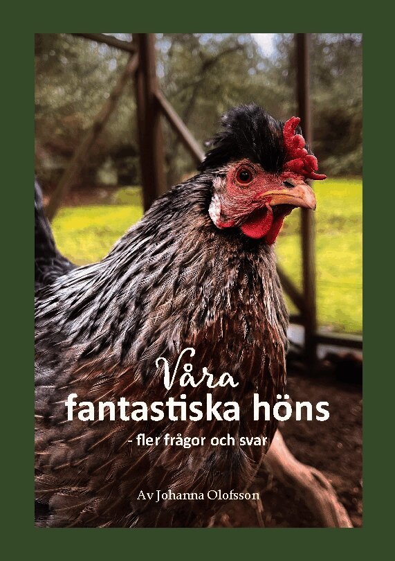 Våra fantastiska höns - fler frågor och svar