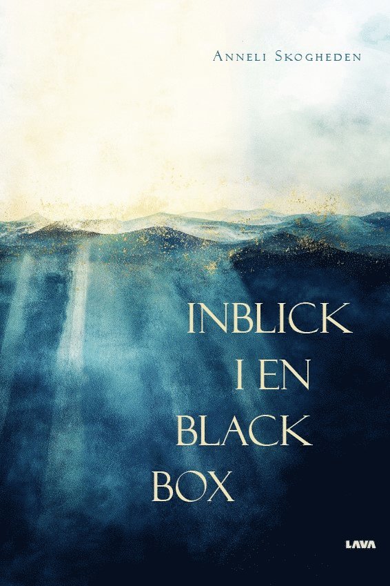 Inblick i en black box