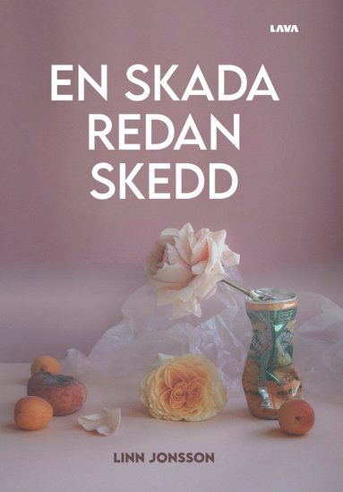 bokomslag En skada redan skedd