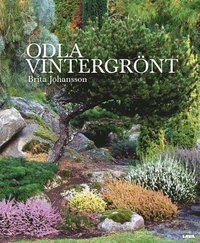 bokomslag Odla vintergrönt