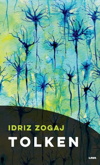 Idriz Zogaj - Tolken, Häftad