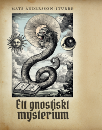 bokomslag Ett gnostiskt mysterium