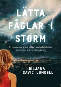 bokomslag Lätta fåglar i storm