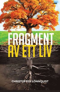 bokomslag Fragment av ett liv