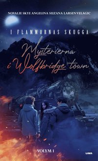 bokomslag Mysterierna i Wolfbridge town. I flammornas skugga. Volym 1.