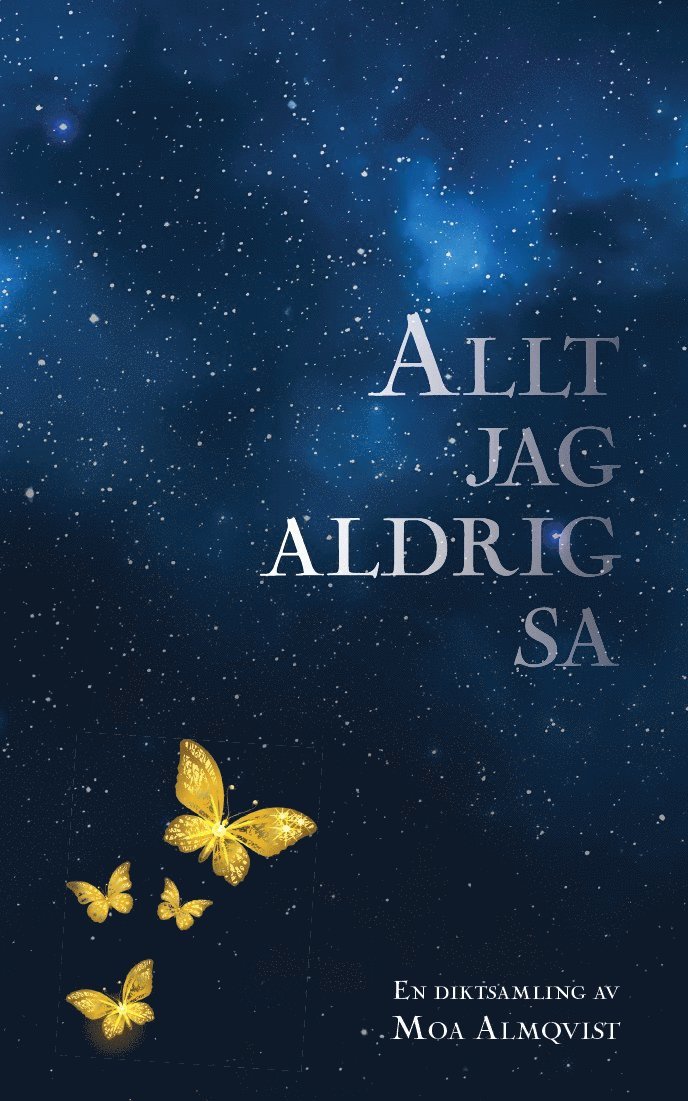 Allt jag aldrig sa