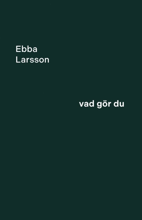 Ebba Larsson - Vad gör du, Häftad