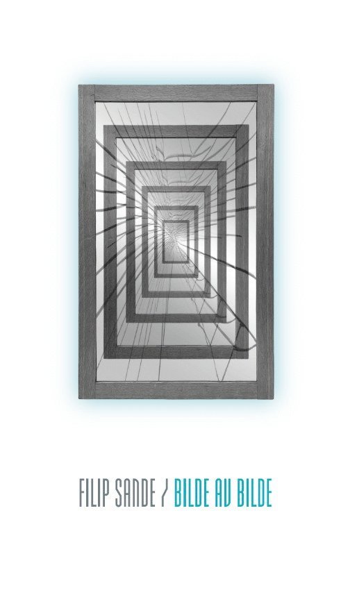 Filip Sande - Bilde av bilde, Pocket