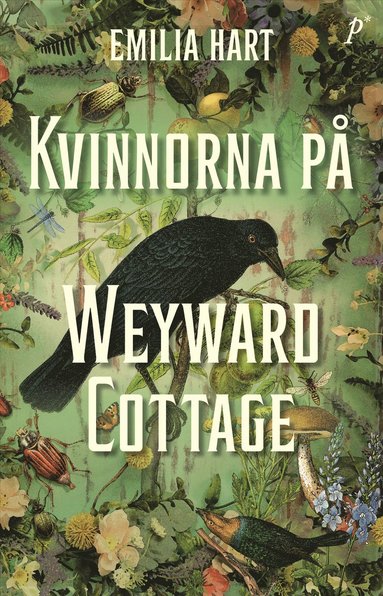 bokomslag Kvinnorna på Weyward Cottage