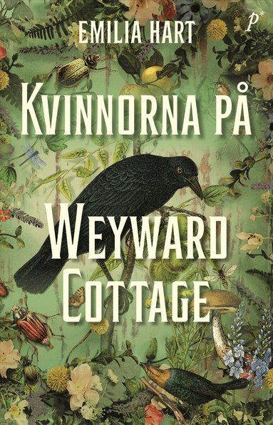 Emilia Hart - Kvinnorna på Weyward Cottage, Pocket