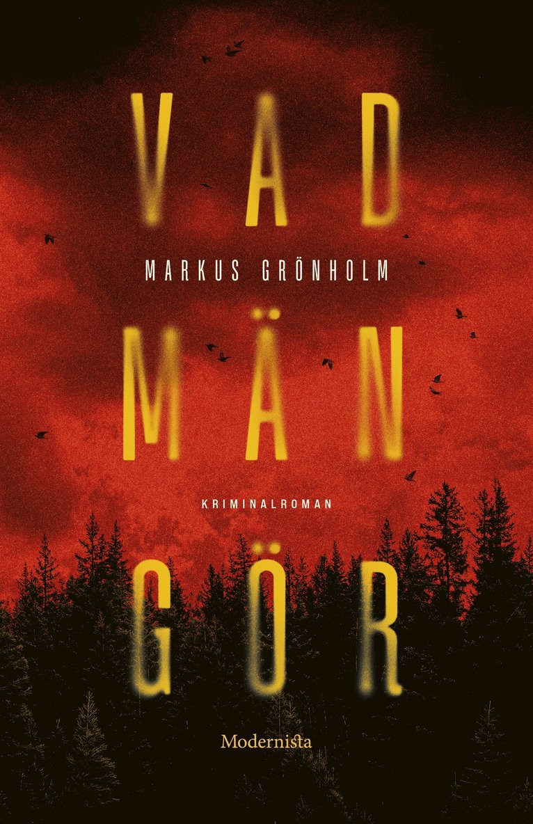 Markus Grönholm - Vad män gör, Inbunden