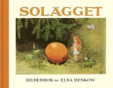 bokomslag Solägget