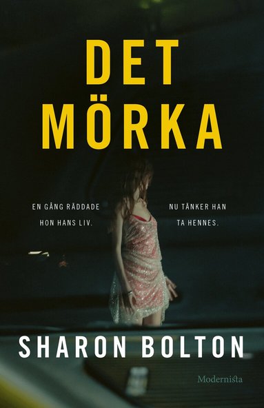 Sharon Bolton - Det mörka, Inbunden