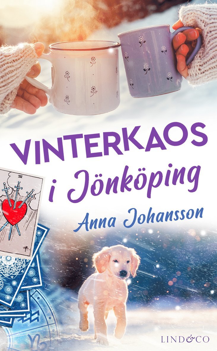 Vinterkaos i Jönköping 1