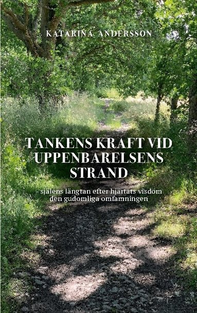 Katarina Andersson - Tankens kraft vid uppenbarelsens strand : själens längtan efter hjärtats visdom den gudomliga omfamningen, Häftad