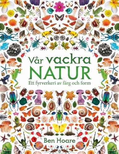 Ben Hoare - Vår vackra natur : ett fyrverkeri av färg och form, Inbunden