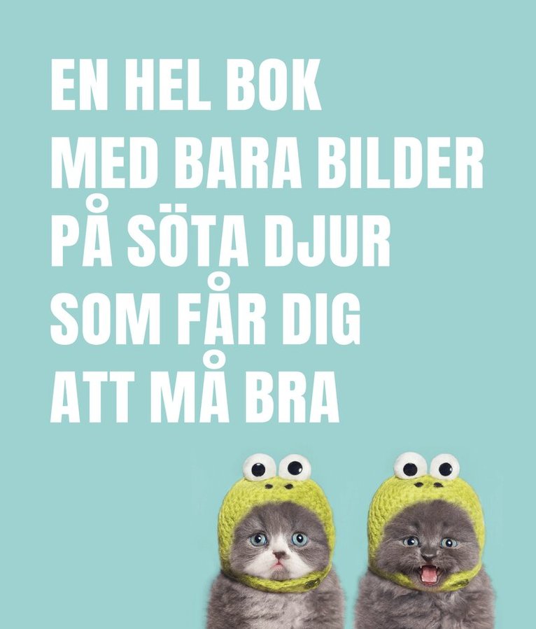 En hel bok med bara bilder på söta djur som får dig att må bra, Inbunden