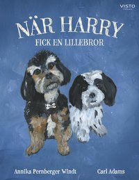 bokomslag När Harry fick en lillebror