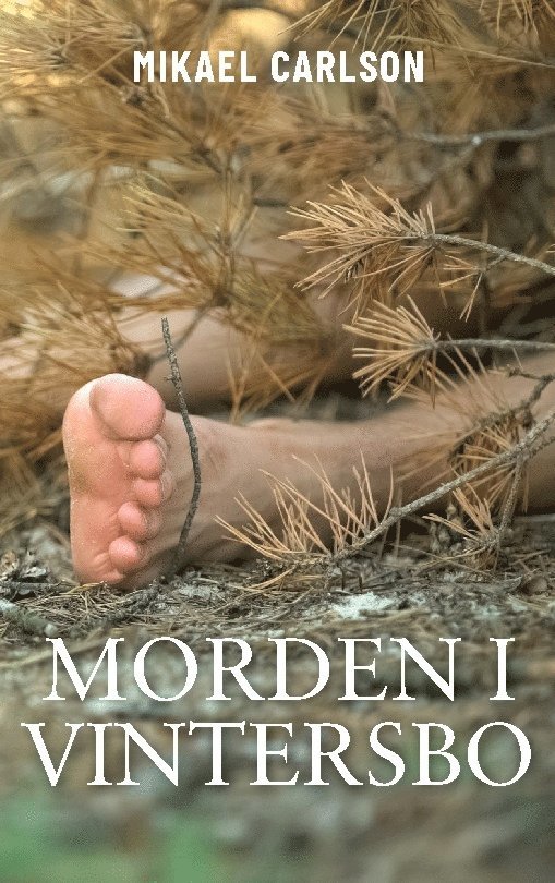 Morden i Vintersbo