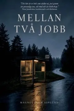Magnus Ferm Asplund - Mellan två jobb : om identitet, väntan och att inte tappa sig själv när arbetet försvinner, Häftad. Tillgänglighet: Lägg i varukorg