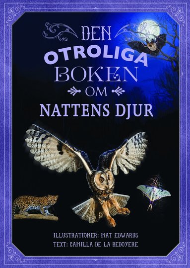 Camilla de la Bedoyere - Den otroliga boken om nattens djur, Inbunden
