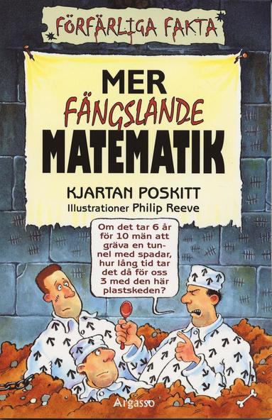 bokomslag Mer fängslande matematik