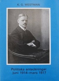 bokomslag Politiska anteckningar juni 1914-mars 1917