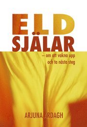 bokomslag Eldsjälar : om att vakna upp och ta nästa steg