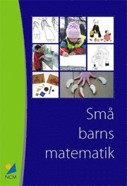 bokomslag Små barns matematik : erfarenheter från ett pilotprojekt med b