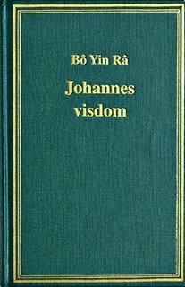 bokomslag Johannes visdom