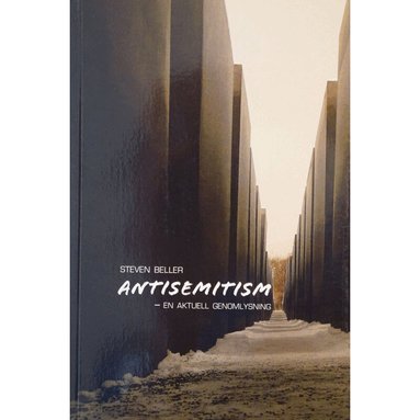 Steven Beller - Antisemitism : en aktuell genomlysning, Häftad