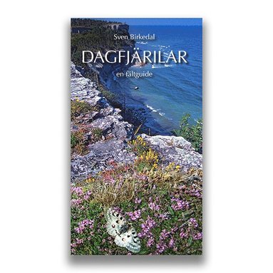 bokomslag Dagfjärilar en fältguide