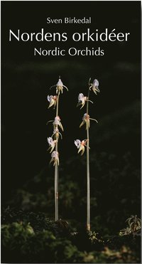 bokomslag Nordens orkidéer : en fältguide / Nordic Orchids : a field guide