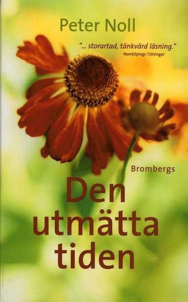 bokomslag Den utmätta tiden