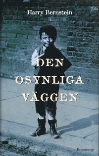 bokomslag Den osynliga väggen