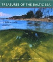 bokomslag Treasures of the Baltic Sea : A hidden wealth of culture